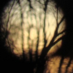 Moonbeams (acoustic demo)