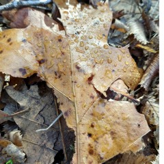 Drum and Love with Bass mix February 2019