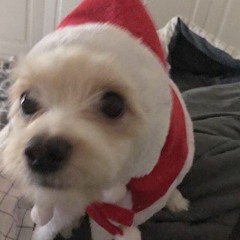 All I Wanna Do COVER