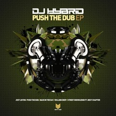Premiere: DJ Hybrid - Just Listen [Natty Dub Recordings]