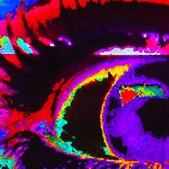 Metaphysics always finds garbage