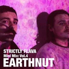 EARTHNUT - Mini Mix