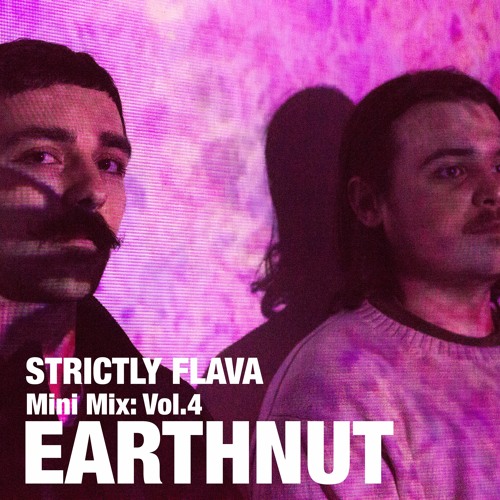 EARTHNUT - Mini Mix