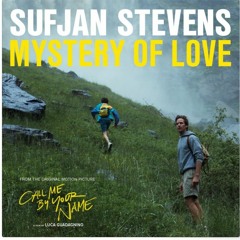 Sufjan Stevens - Mystery of Love (Crackberry Remix)