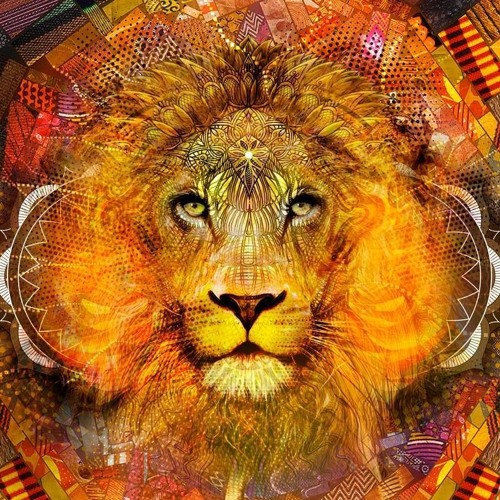 Pixel - Adhana 2018/2019