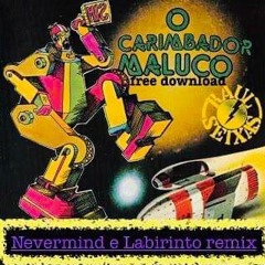 Raul Seixas-Carimbador Maluco(Nevermind e Labirinto rmx)FREE DOWNLOAD