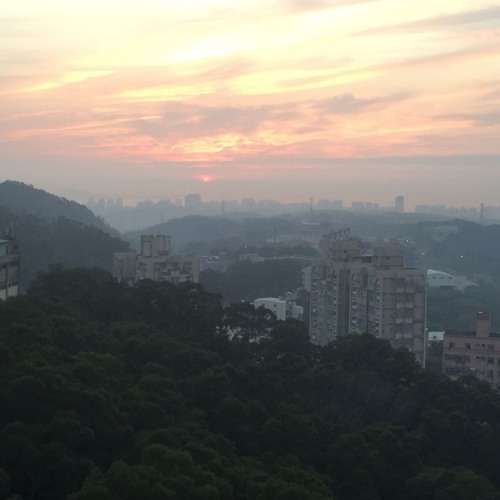 "after parting – 在離去之後" for viola, soprano, clarinet, and live electronics (2018)