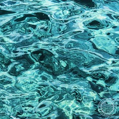 3. Wave Runner - 'Arrival' LP - Silva Electronics (OUT NOW)