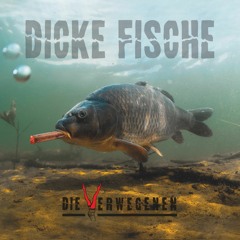 Dicke Fische