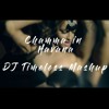 Chamma In Havana Dj Timeless Mashup Latest Bollywood Songs 2019 Mp3