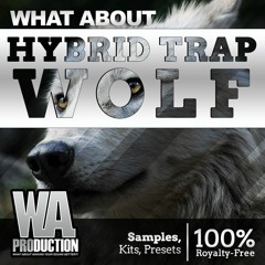 Hybrid Trap WOLF |  590 Sounds, Serum Presets & Ableton Templates