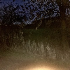 The Wicker Road Home