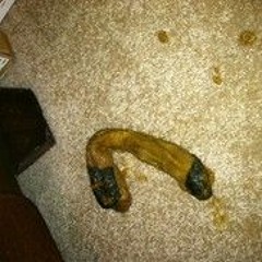 Poop Sock on my Mind