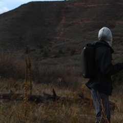 Billie Eilish - Bury A Friend (Brillig Remix)