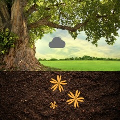 Open (prod. by K9NE Beatz)