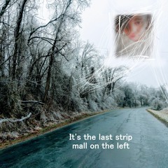 I Think I'm Gonna Kill Myself For The End Of Time