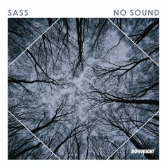 Sass - No Sound