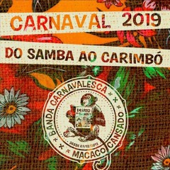 Macaco Cansado 2019 - Do samba ao Carimbó