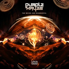 Purple Hayes - The Weird And Wonderful (Original Mix) - OUT NOW!
