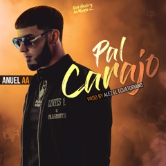 Anuel AA - Pal Carajo