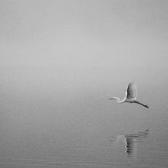 Somos el viento (feat Juliana Ulloa)