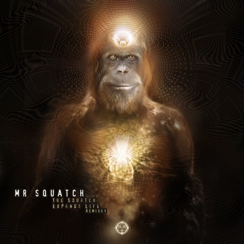 Mr Squatch ~~~ ≈The Squatch Expands Life≈ (Nåndå-RMX)