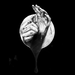 Black Haze by Kir | CultKitchen