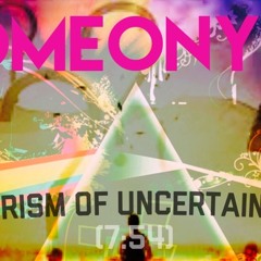 PRISM OF UNCERTAINTY