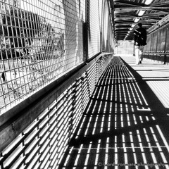 Glitch Century Modern