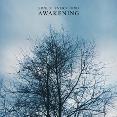 Awakening