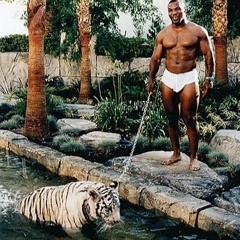 Welcome To the Jungle