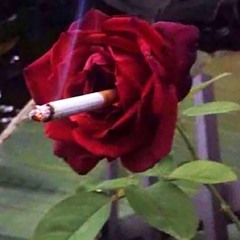 euro cigarette (unfinished)