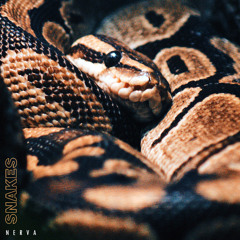 Nerva - Snakes