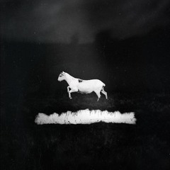 Les Discrets - Le Reproche