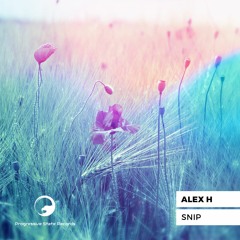 Snip (Polyed Remix)