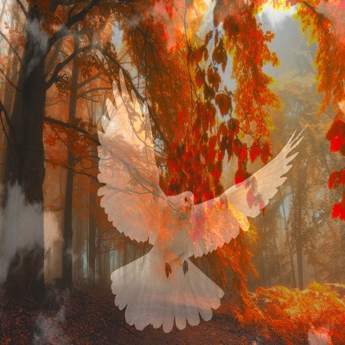 Autumn's Warmth (for my father)©
