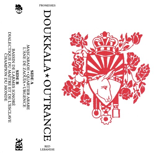 Doukkala - L'Âne de Zaouïa