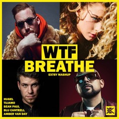 Tujamo x HUGEL x Sean Paul ft. Amber van Day & Blu Cantrell - WTF Breathe (EXTSY Mashup)