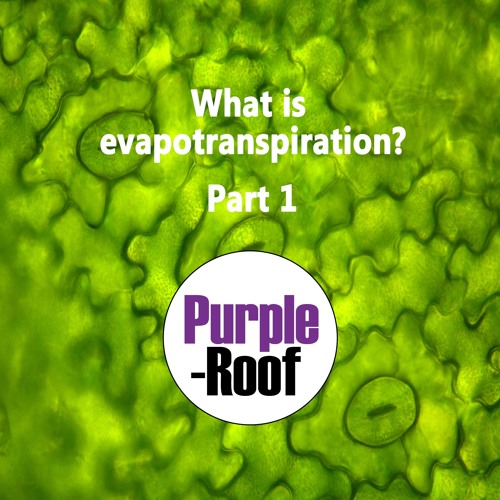 What Is Evapotranspiration Part1 by Purple-Roof