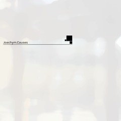 Joachym - Causes