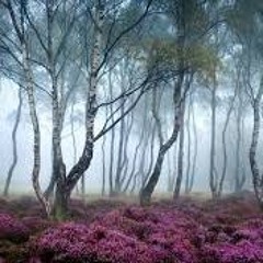 Deep Forest - Boheme (Gelvetta Remix)