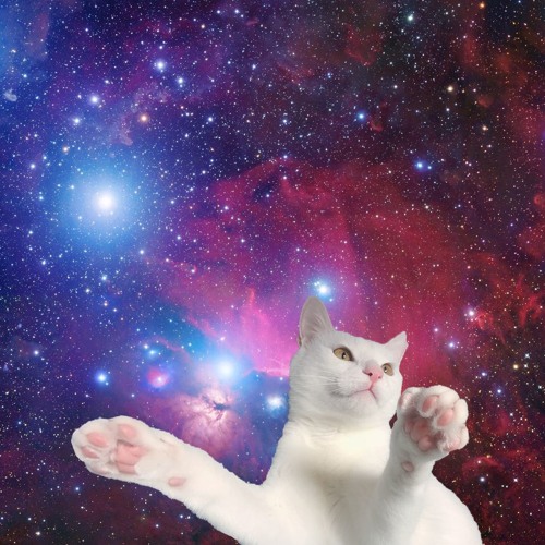 spacecat