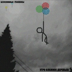 фаза быстрых движений глаз