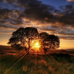 Céad Mile Fáilte