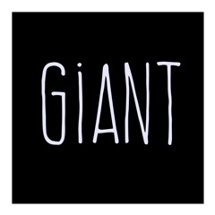 Giant - Rag N Bone Man & Calvin Harris (Acoustic)
