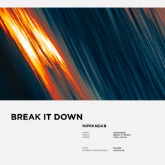 Nippandab - Break It Down