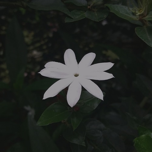 Trời mưa.