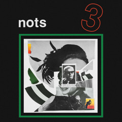 NOTS - Half-Painted House