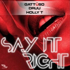 Say It Right - Gattuso/Holly T