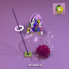 Cozy Kondo & cactus flower - BUBBLE
